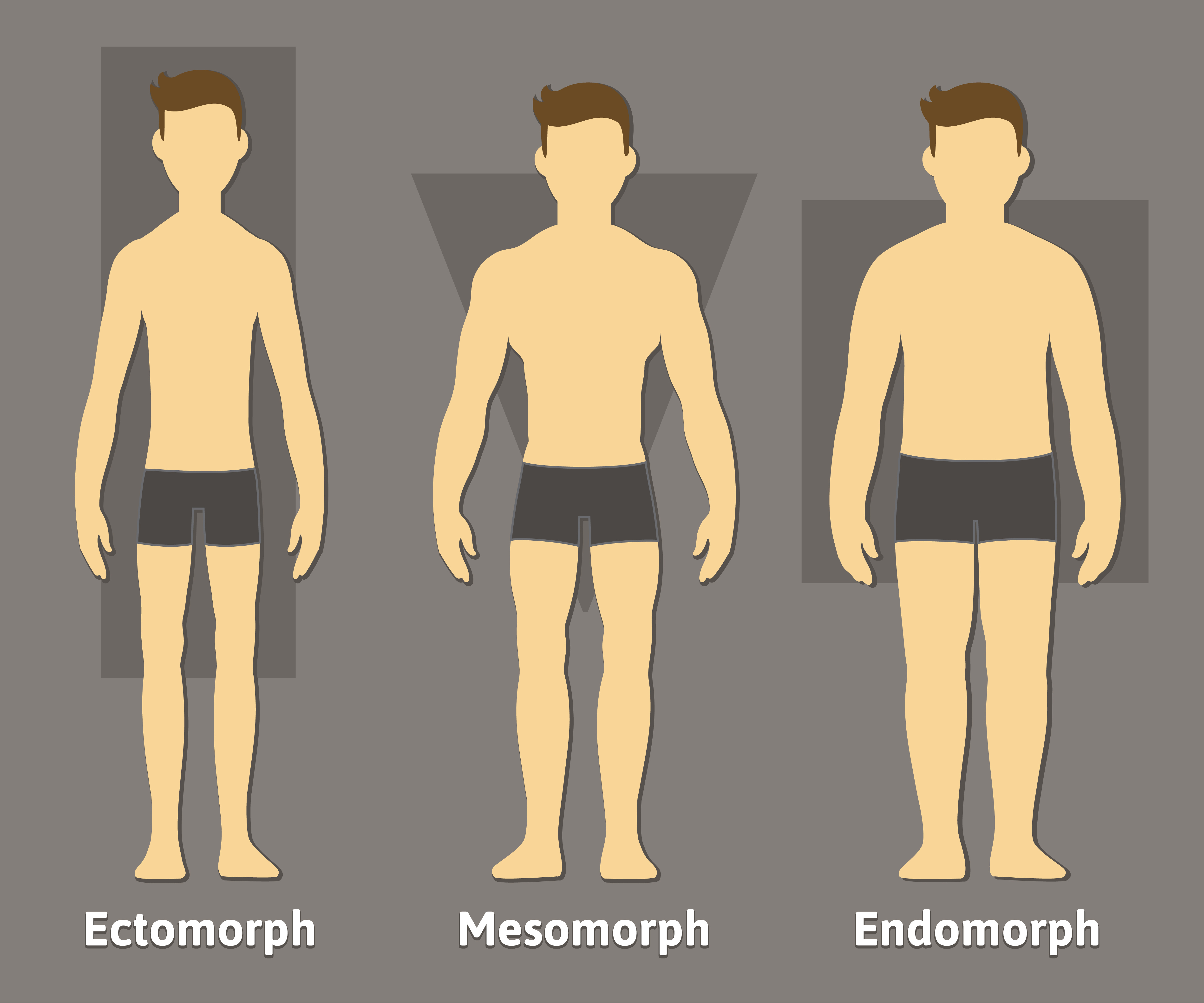 Men Body Type Chart